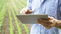 Guvernul înființează o nouă rețea de date pentru agricultură: sistem informatic integrat și fonduri de milioane de euro