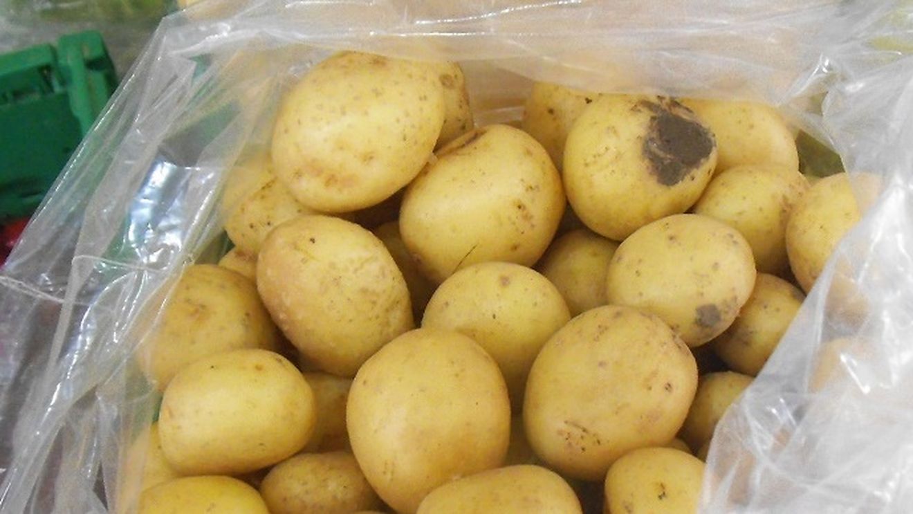 Născut în București, unul dintre copiii crescut ”cu cheia la gât”, un fermier din Slobozia Moară a ajuns unul dintre cei mai importanți furnizori de cartofi din județul Dâmbovița