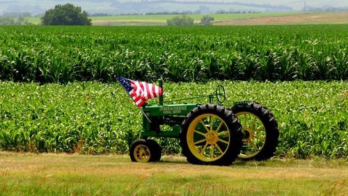 Fermierii americani sunt blocați din cauza înghețării fondurilor de la Departamentul de agricultură sub administrația Trump