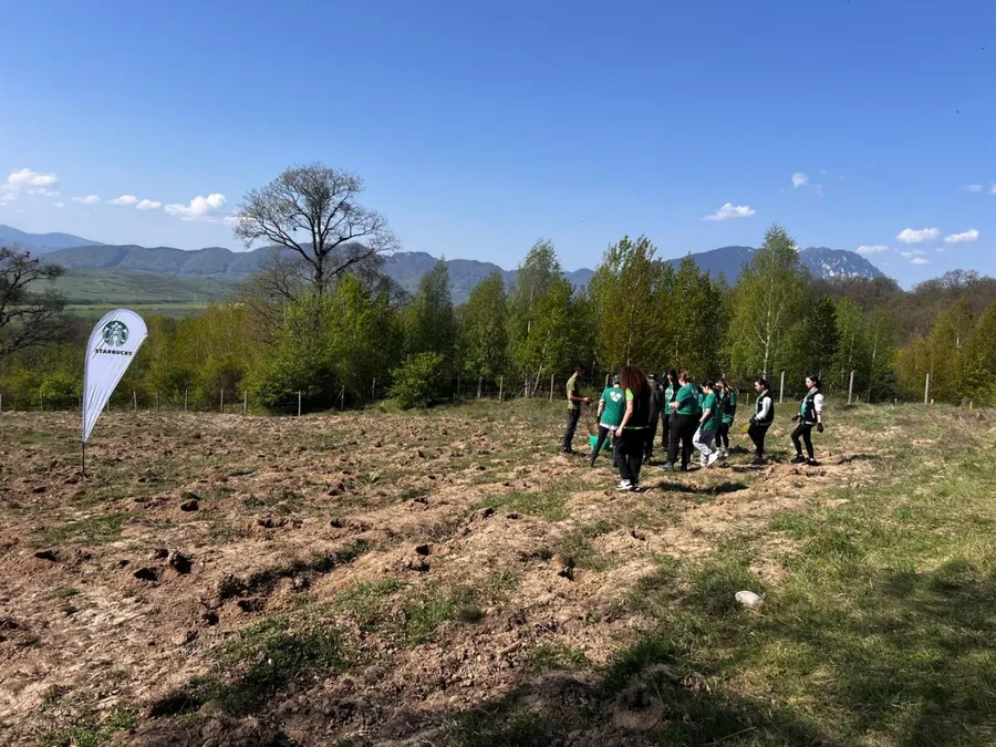 Starbucks România se implică activ în comunităţile locale şi investeşte în acţiuni de voluntariat dedicate reîmpăduririi