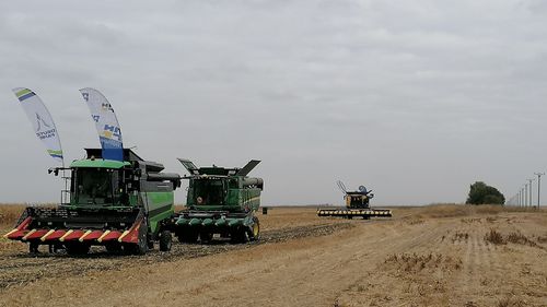 Rusia anunță că va identifica alte pieţe pentru cerealele sale, după ce UE a decis majorarea tarifelor la importuri de la 1 iulie