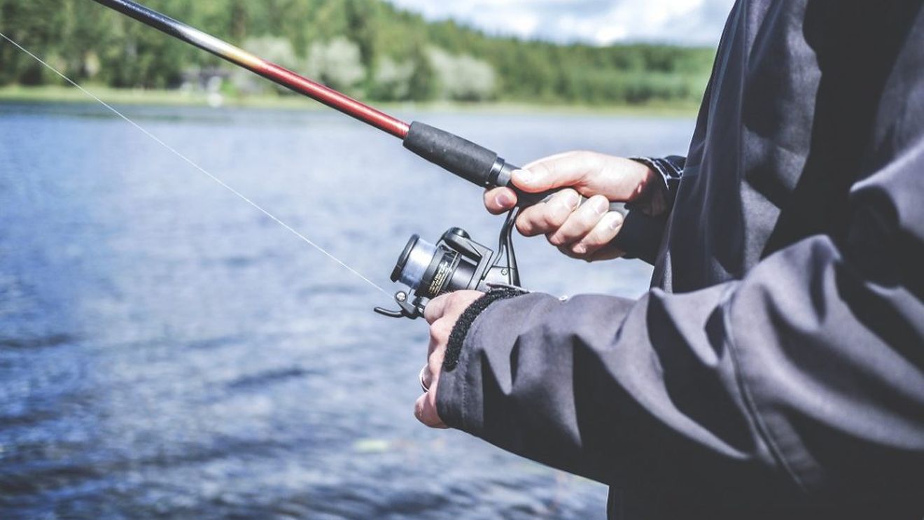 Autoritățile din Delta Dunării încearcă să atragă mai mulți turiști/ Calendarul evenimentelor include, la finele lunii viitoare, "Serbările scrumbiei", la Maliuc, dar şi "Sărbătoarea scrumbiei albastre", la Sulina