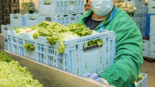 Grupul polonez Green Factory intră pe piața din România, după ce a finalizat achiziția afacerilor de salată Eisberg din România, Polonia și Ungaria