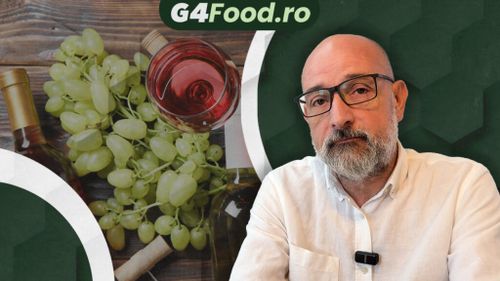 VIDEO | Connaisseur fără ifose (Ep. 92) | Somelier în restaurant: la ce să te aștepți?