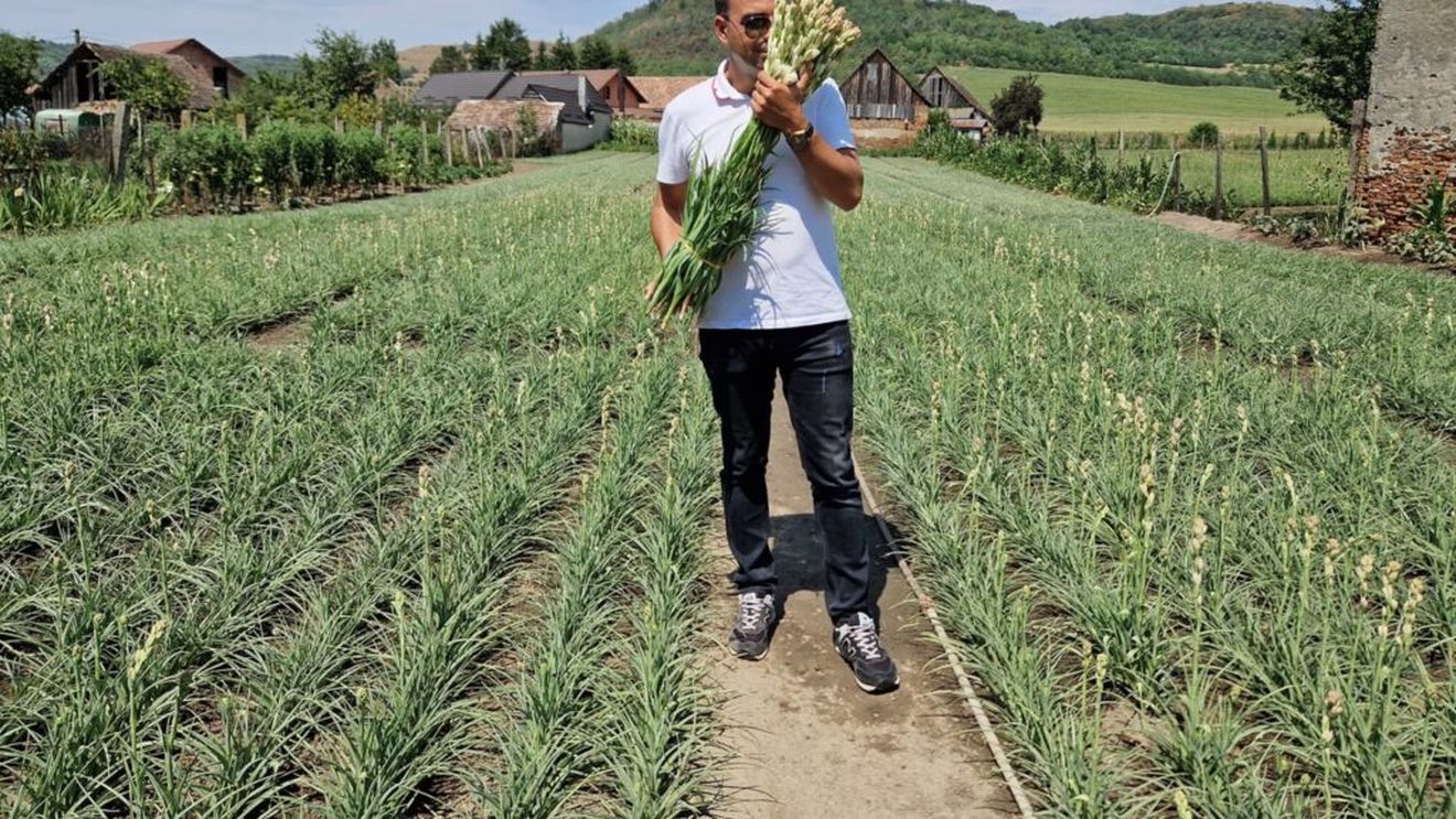 Sibiu: Turiștii sunt așteptați la Gala Tuberozelor de la Hoghilag în acest weekend / Cu această ocazie, este organizat un târg „Poftim, din România!”, iar primăria va oferi un brunch cu bunătăți locale
