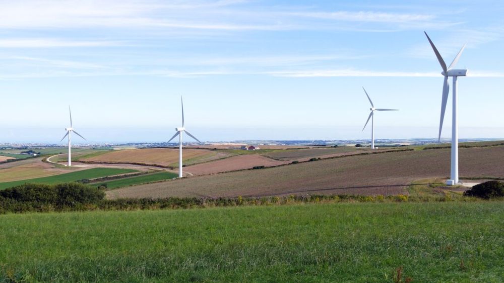 Parcurile eoliene din Spania sunt dotate cu Inteligență Artificială și echipe de ornitologi, care împreună opresc palele moriștilor de vânt pentru a permite zborul păsărilor