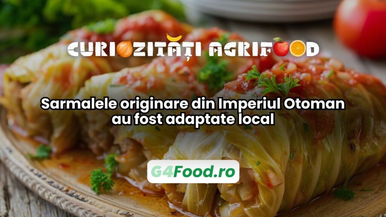 Curiozități agri-food 30 decembrie: Sarmalele originare din Imperiul Otoman au fost adaptate local