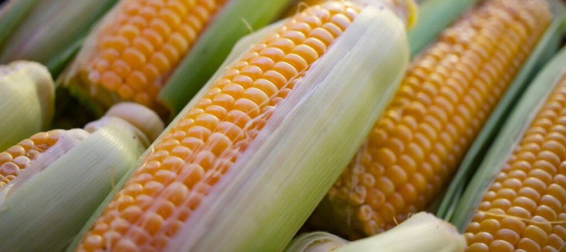 Ce se întâmplă în organism când mănânci alimente modificate genetic? Un specialist în nutriție explică ce sunt OMG-urile, ce este mit și ce ar trebui să ne preocupe