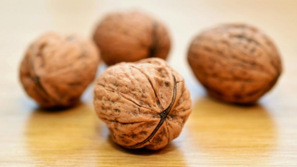 6 beneficii surprinzătoare, dacă mănânci dimineața nuci înmuiate/ Vei fi ferit de diabet, vei îmbătrâni frumos, iar creierul și intestinele tale vor fi mai sănătoase