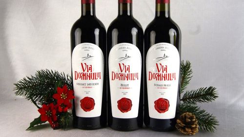 Raport | Cuvee de Jercălăi - un nou sortiment de vin obţinut anul trecut în Arhiepiscopia Bucureştilor