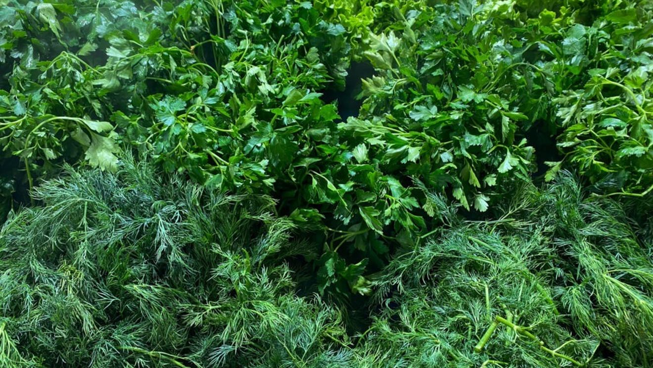 ABC în bucătărie / Cum să prelungești viața verdețurilor și a plantelor aromatice