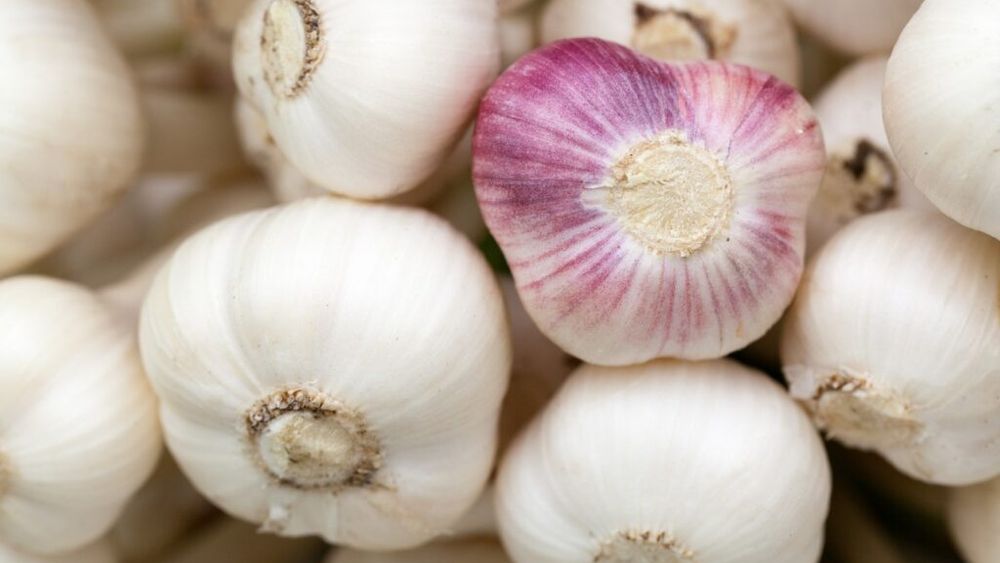 Buzău: Prejudiciu de 500.000 de euro din tranzacții cu usturoi și utilaje din Spania / Două persoane sunt cercetate pentru evaziune fiscală