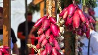 Festivalul Cepei: Ceapa de apă de Mărăcineni, transformată în brand local / Sute de legumicultori cultivă anual peste 400 de hectare / Primarul Constantin Dumitru: „Din asta trăim, că altceva nu avem ce să facem!”