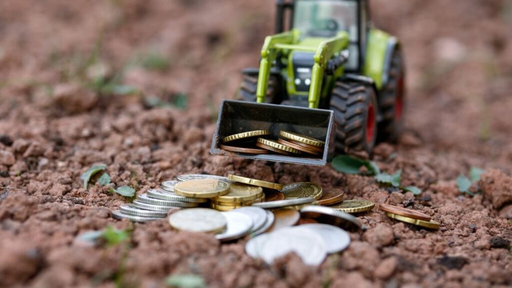 AFIR lansează o licitaţie de 5,97 milioane lei pentru modernizarea infrastructurii de reţea