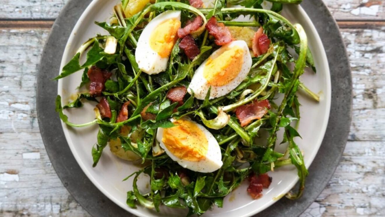 Vine primavara și apare papadia, foarte bună în salată. Dar, atenție, medicii recomandă precauție daca este consumată împreună cu anumite medicamente