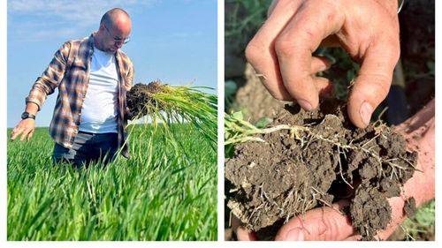 VIDEO | Cătălin Popescu (fermier): „Am fost în pragul falimentului. Atunci am decis sa fiu autodidact și să investesc în dezvoltarea mea intelectuală”