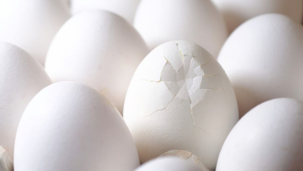 Justiţia americană a demarat o anchetă cu privire la creşterea explozivă a preţurilor la ouă / Mai multe companii s-ar fi înțeles între ele pentru a creștere tarifele și a limita oferta