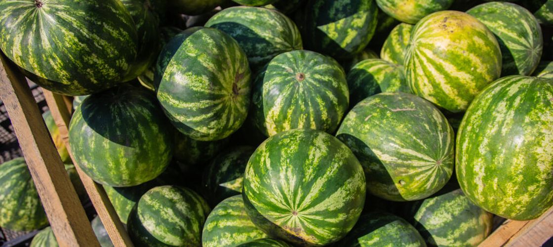 Cum alegi un pepene roșu copt și dulce / Indiciul ascuns pe care îl caută cunoscătorii