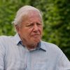 Ce mănâncă Sir David Attenborough la 100 de ani / Naturalistul spune că și-a schimbat complet alimentația: „Am devenit mult mai vegetarian decât credeam că voi fi vreodată”