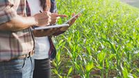 Programul RADAR: cercetătorii merg direct în ferme pentru a identifica problemele reale ale agricultorilor