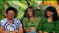 VIDEO | Agricultura în schimbare | O fermă de 5 hectare din Dâmbovița produce legume ecologice și oferă locuri de muncă persoanelor vulnerabile: „Trebuie să găsim un loc pentru oamenii din comunitate”