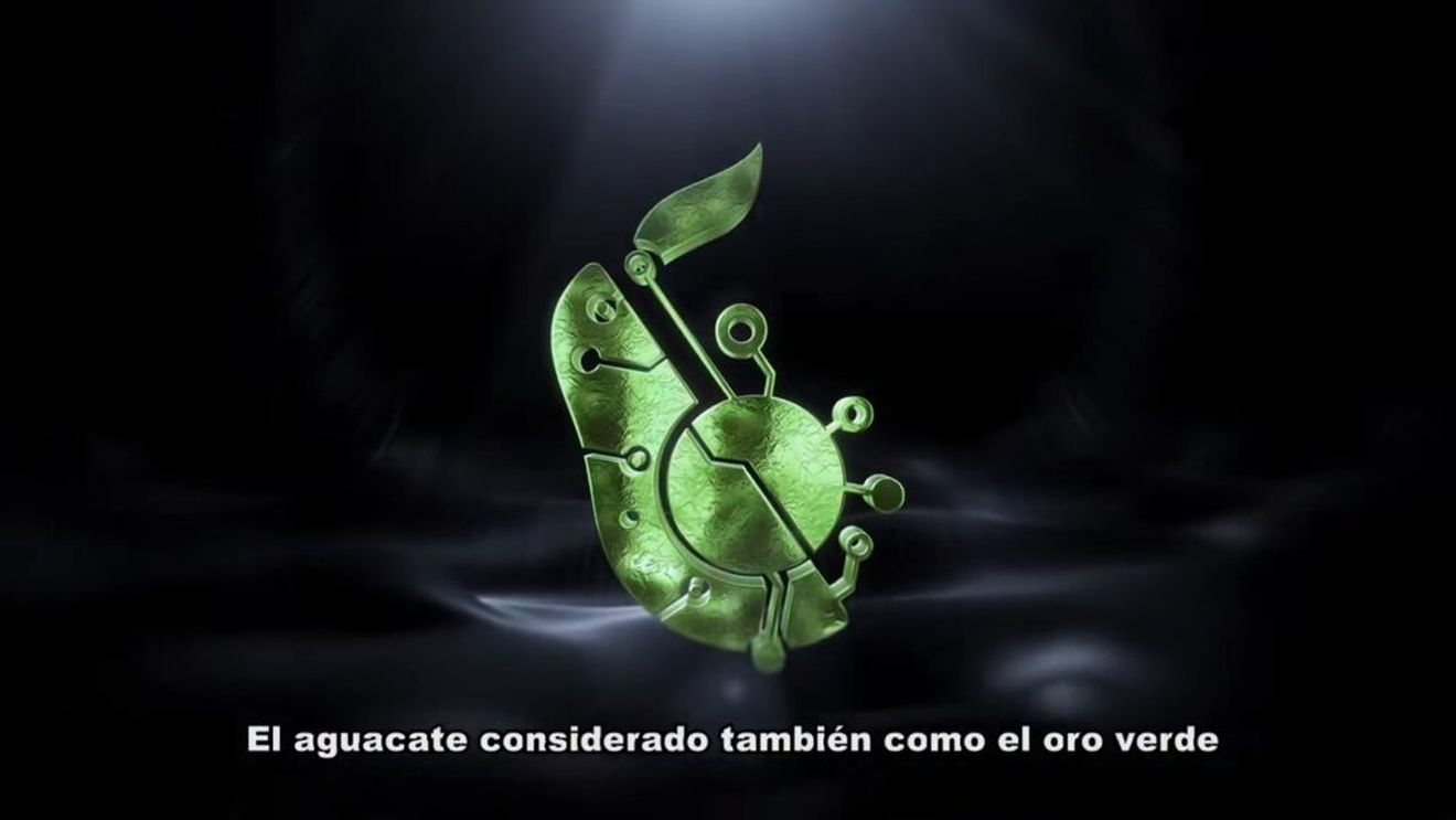 Criptomonedele revoluționează agricultura. Proiectul Avocado Coin contribuie la o producție sustenabilă de avocado în Mexic