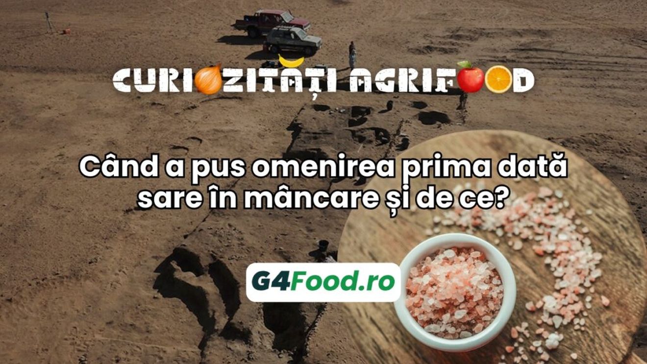 Curiozități agrifood -15 august: Când a pus omenirea prima dată sare în mâncare și de ce?