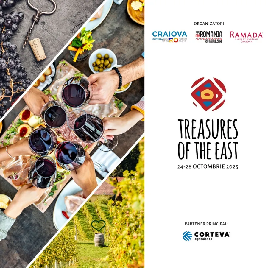 pahare de vin Winesday