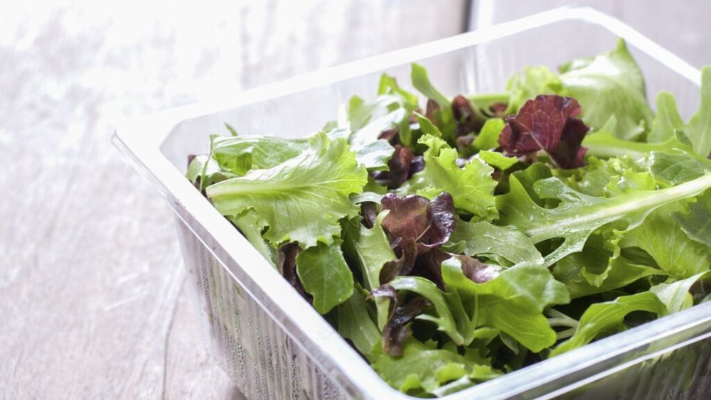 Toxoplasma, detectată în salatele gata de consum / Studiu european avertizează asupra riscului alimentar ascuns / Cercetători din 10 țări au analizat peste 3.000 de mostre