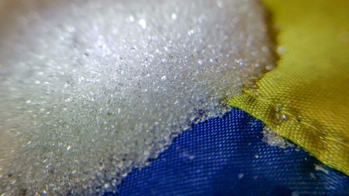 Uniunea Europeană caută să stimuleze importul de produse agricole din Ucraina pentru a sprijini efortul de război / Motivul pentru care fermierii din Spania sunt nemulțumiți