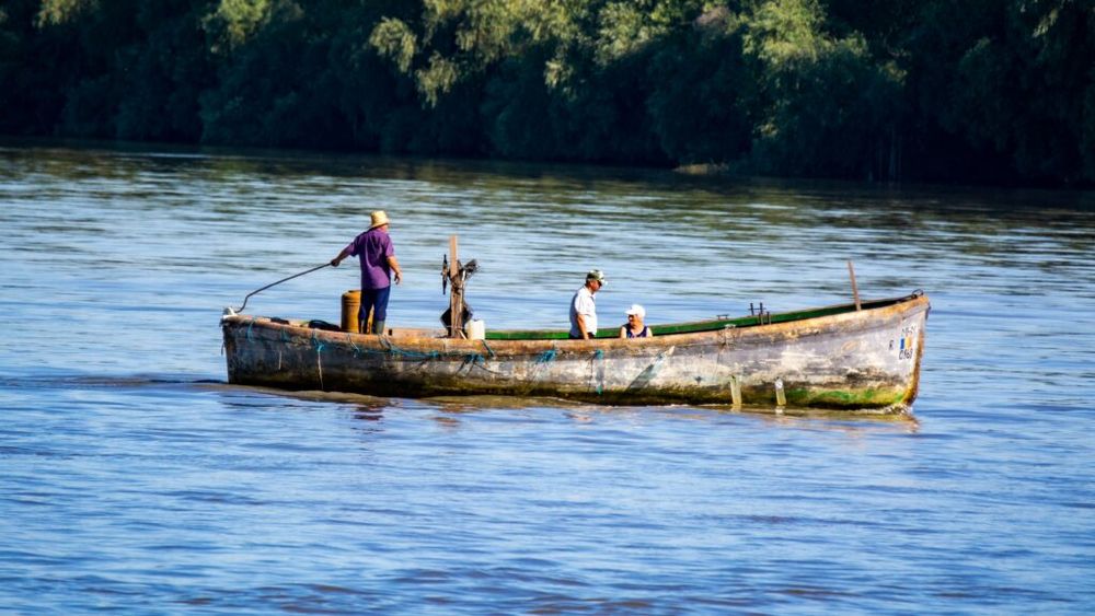 Restricții la pescuit în Delta Dunării din cauza nivelului scăzut al apei / Se interzice folosirea setcilor și se face apel la prudență în navigație