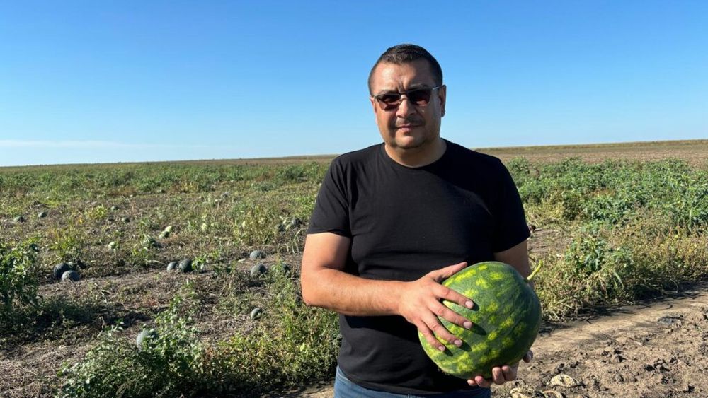 Ionel Cârstoiu, speaker la conferința „Un an de G4Food” / Pentru a facilita vânzarea producției, a înființat o cooperativă agricolă, unind forțele mai multor fermieri pentru a-și valorifica mai bine recoltele