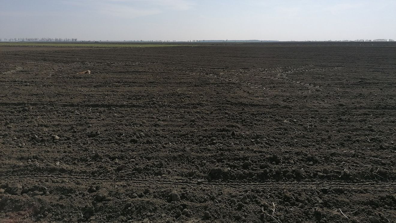 Sacrificat pentru interesele baronului de Olt Paul Stănescu? Șeful APIA,  demis de ministrul Agriculturii