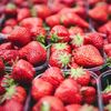 Analiză/Piața globală a căpșunelor în 2026/ Fructele spaniole se vând cu 2,50–2,80 euro/kg, iar cele italiene ajung la 3,00–6,00 euro/kg/ Germania, UK și Franța, dependente de importuri!