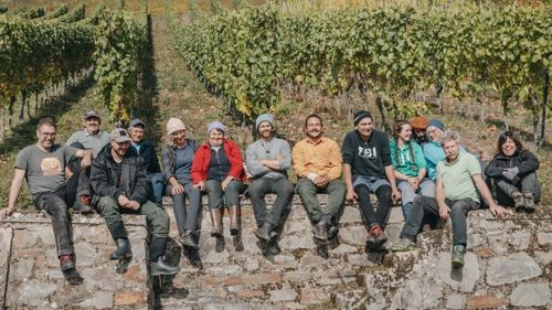 Cea mai veche cramă din lume care încă funcționează are peste 1.000 de ani / Totul a pornit de la o parcelă de teren oferită unor călugări de împărat