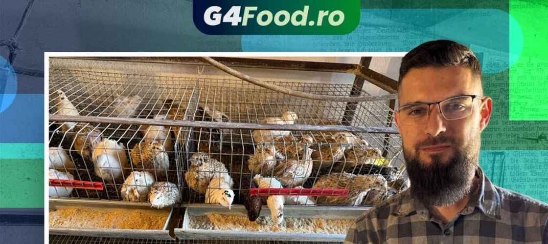 Slujește la biserică duminica, merge la serviciu în timpul săptămânii și crește prepelițe acasă, în familie / Ionuț Boer: „A început ca o afacere de familie și vrem să o dezvoltăm pentru a aduce un beneficiu în familie. Dar asta o putem face doar împreună”