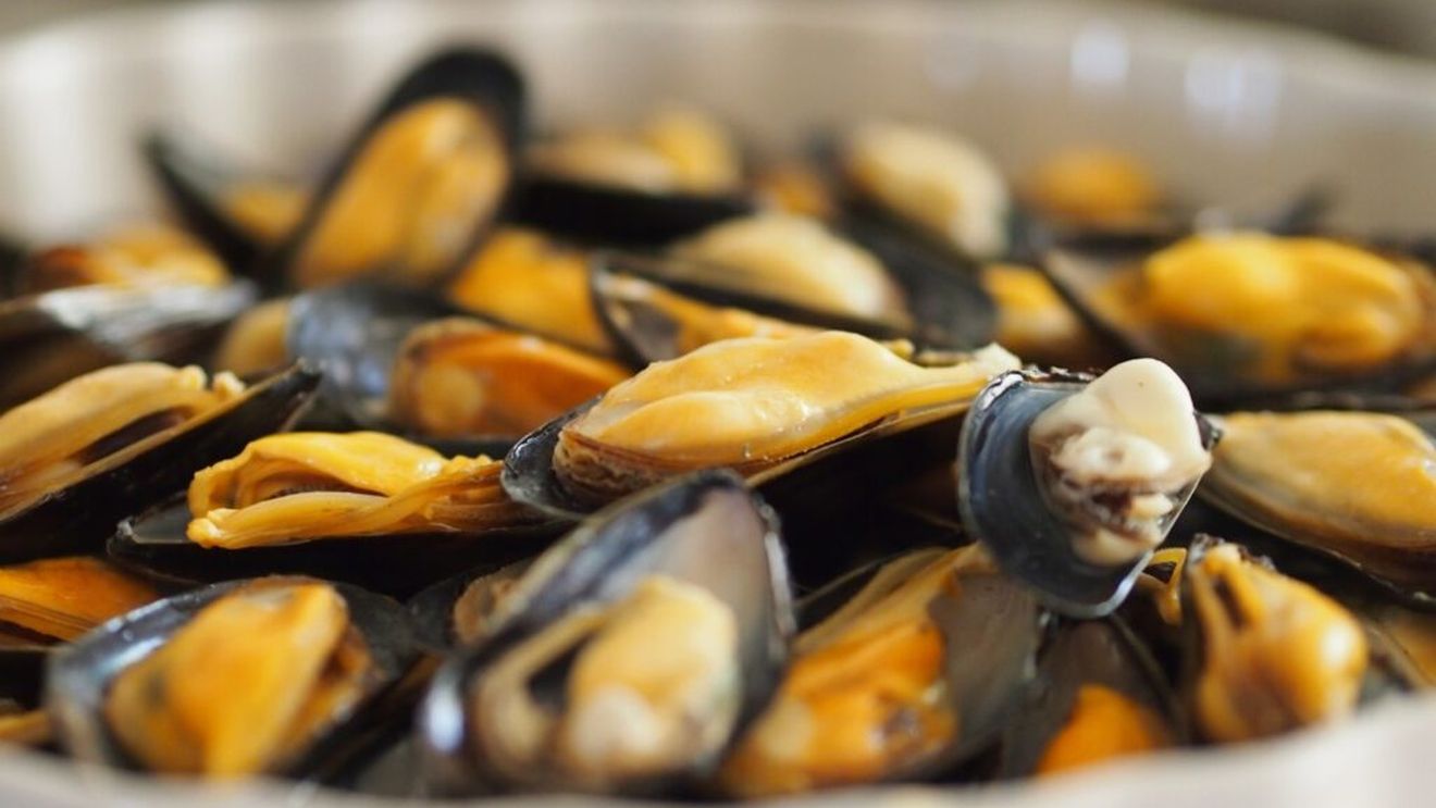 Recoltarea de scoici și rapane în Marea Neagră a fost interzisă / Analizele de apă au arătat că există risc pentru consum