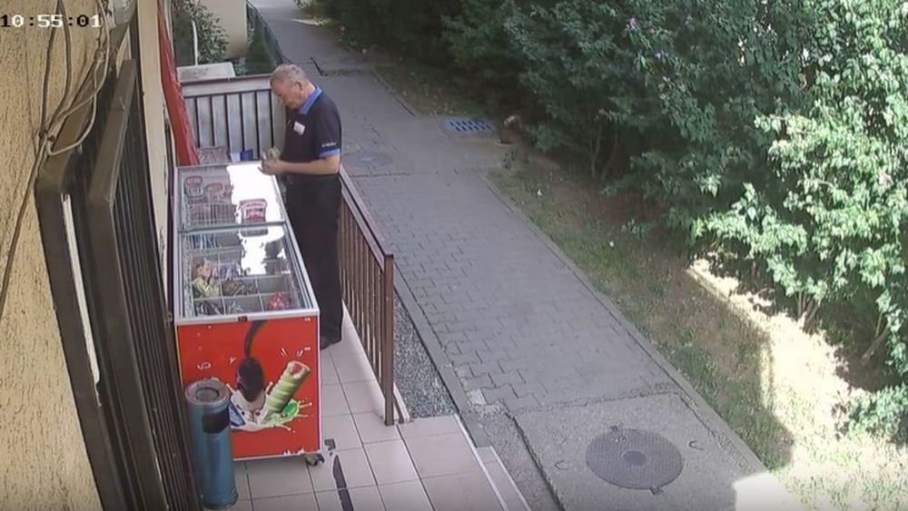 Bărbat prins furând înghețată de mai multe ori dintr-un magazin din Florești, Cluj / Și-a motivat gestul prin faptul că suferă de „depresie”