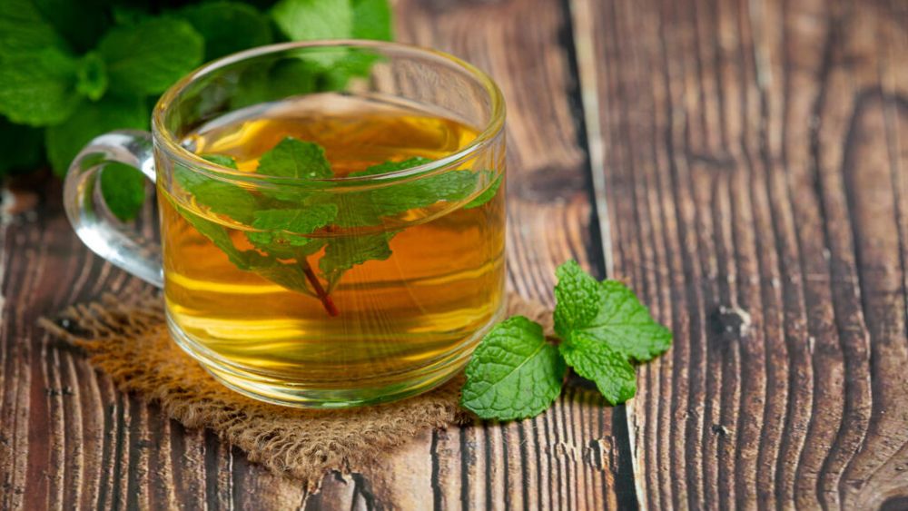 Menta creață, un ajutor nesperat pentru sănătate / De la îmbunătățirea digestiei la susținerea echilibrului hormonal, planta are mai multe beneficii