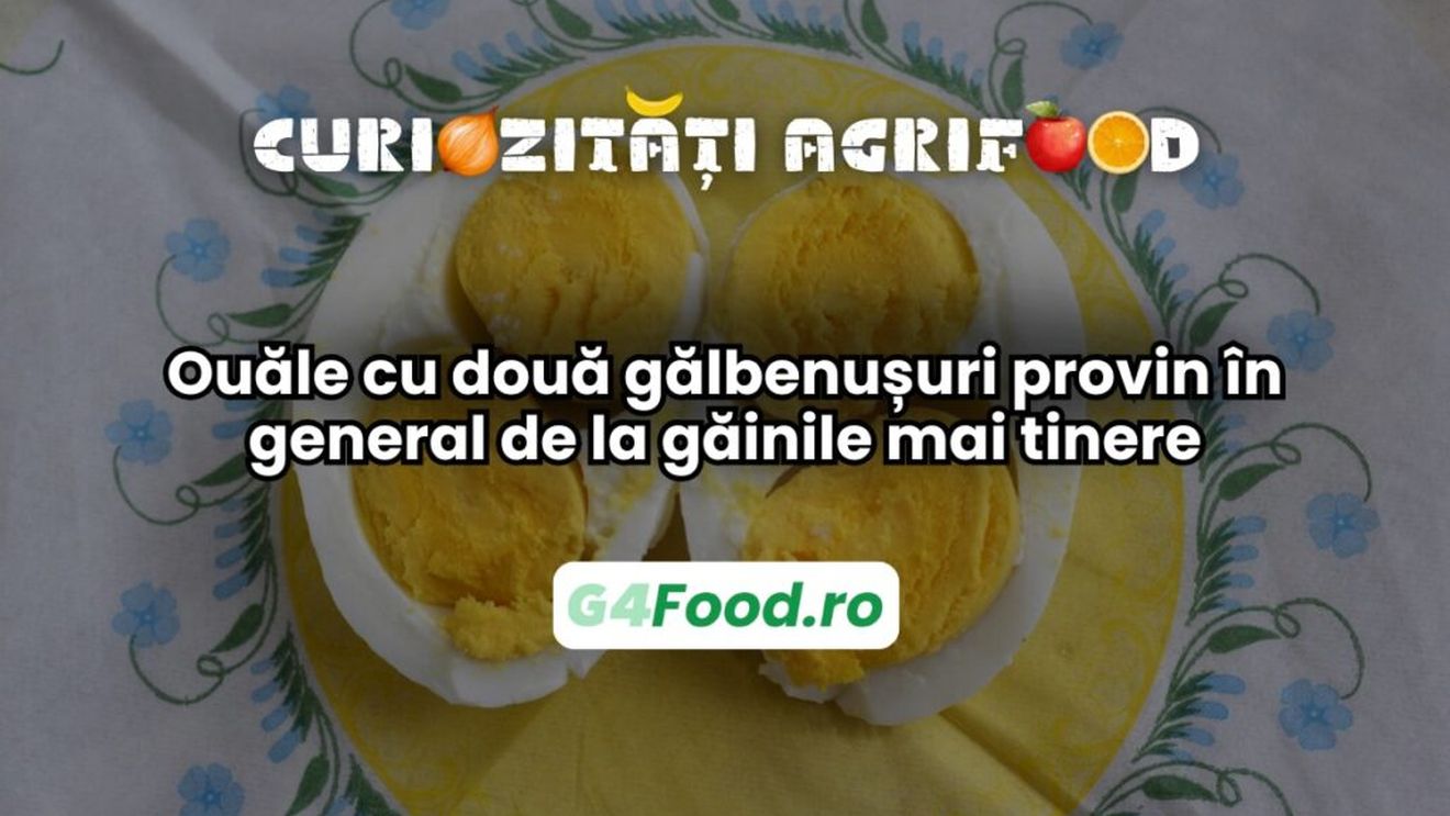 Curiozități agri-food 18 februarie: Ouăle cu două gălbenușuri provin în general de la găinile mai tinere