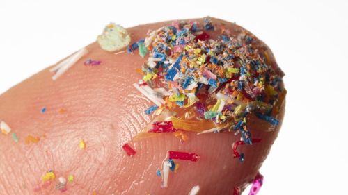 Microplasticele, tot mai prezente în organismul uman / Numeroase alimente, băuturi și surse de apă potabilă conțin microplastice