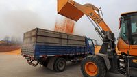 China ar trebui să înceteze să mai acumuleze stocuri de alimente și îngrășăminte / Avertismentul lansat de fostul director al Băncii Mondiale