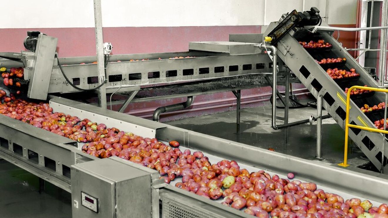 Au fost suplimentate cu aproape 250.000 de euro sumele alocate de MADR pentru proiectele de depozitare și procesare a produselor agricole și pomicole