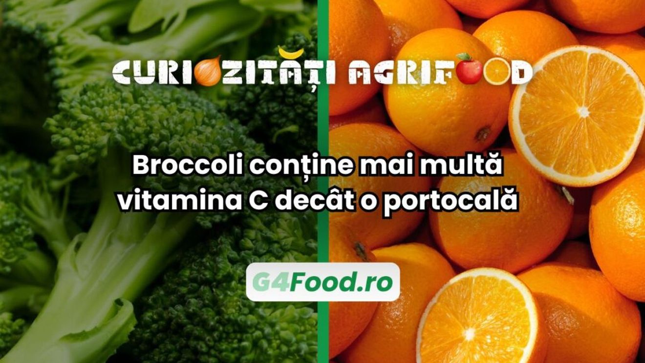 Curiozități agri-food: Broccoli conține mai multă vitamina C decât o portocală / Afirmația este valabilă pentru leguma în stare crudă, ceea ce face comparabile cele două vegetale din acest punct de vedere