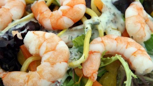 Salata răcoroasă și sățioasă de creveți cu avocado/Gustoasă și excelentă pentru sănătatea inimii