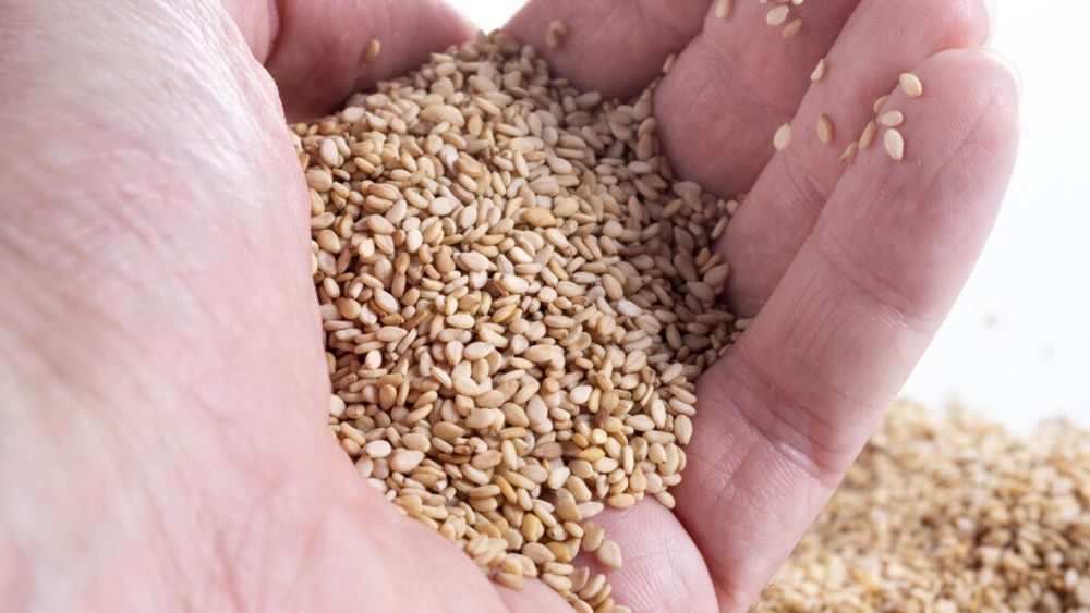 Preţurile recoltelor de cereale cresc, pe fondul riscurilor legate de aprovizionare / Cotaţia grâului este aproape de cel mai ridicat nivel din ultimii ani