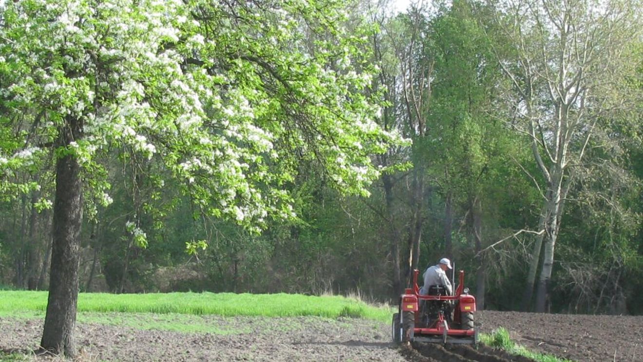 APIA deschide sesiunea pentru cererile de plată 2026 în cadrul schemei de sprijin pentru prima împădurire