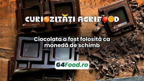 Curiozități agri-food 28 noiembrie: Ciocolata a fost folosită ca monedă de schimb