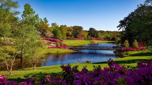 Nu erbicidele utilizate în agricultură și în zonele urbane, ci aditivii din detergenți ar putea fi principala sursă de glifosat ajuns în râurile din Uniunea Europeană - studiu Universitatea din Tubingen