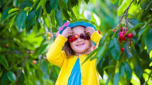 Festivalul Cireșelor revine la București, în weekendul 13 - 15 iunie, în Parcul Izvor / Vizitatorii sunt așteptați cu dulceață, cheesecake, cireșe „la preț de fructe” și preparate inspirate din gustul dulce-acrișor al verii